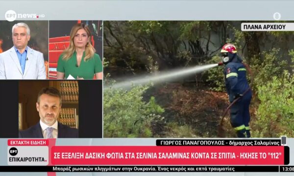 Ο Γιώργος Παναγόπουλος μιλά για τη φωτιά στη Σαλαμίνα στο ERTnews