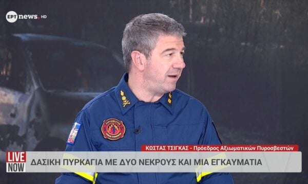 Ο Κώστας Τσίγκας για τη φωτιά στη Λητή Θεσσαλονίκης