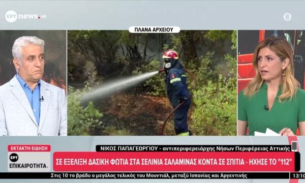 Ο Νίκος Παπαγεωργίου μιλά για τη φωτιά στη Σαλαμίνα στο ERTnews