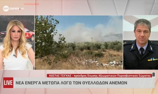 Ο πρόεδρος Ένωσης Αξιωματικών ΠΣ Κώστας Τσίγκας στο ΕΡΤnews για τα πύρινα μέτωπα σε Βοιωτία και Αργολίδα