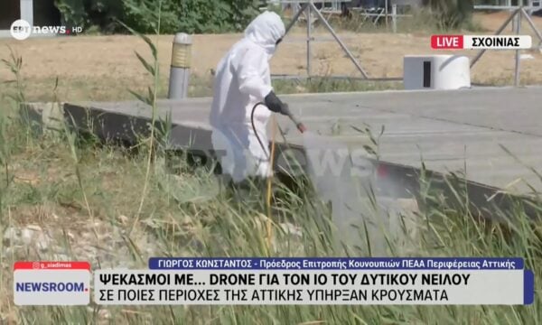 Ο πρόεδρος της Επιτροπής Κουνουπιών ΠΕΑΑ Περιφέρειας Αττικής Γιώργος Κώνσταντος στο ΕΡΤnews