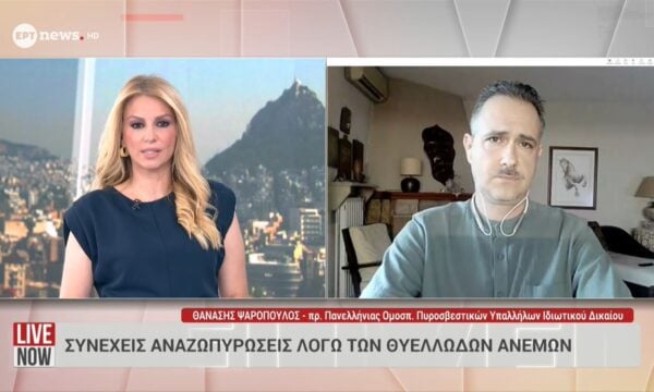Ο Πρόεδρος της Πανελλήνιας Ομοσπονδίας Πυροσβεστικών Υπαλλήλων Ιδιωτικού Δικαίου, Θανάσης Ψαρόπουλος, στο ΕΡΤnews
