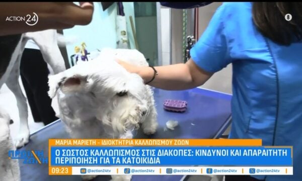 Ο σωστός καλλωπισμός στις διακοπές: Κίνδυνοι και απαραίτητη περιποίηση για τα κατοικίδια
