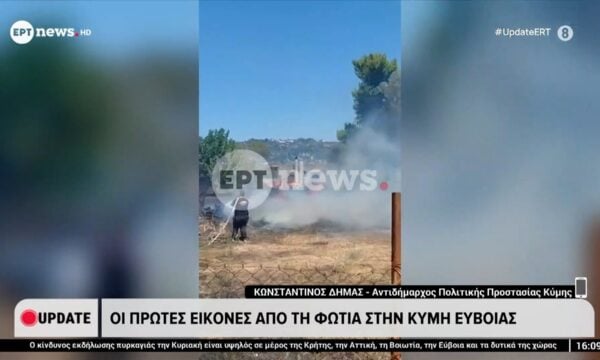 Οι πρώτες εικόνες από τη μεγάλη φωτιά στην Κύμη Ευβοίας – Κων/νος Δήμας, αντιδήμαρχος Πολιτικής Προστασίας Κύμης