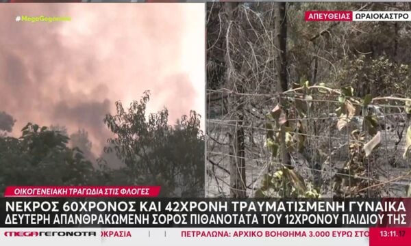 Οικογενειακή τραγωδία στο Ωραιόκαστρο: Παραμένει στο νοσοκομείο η μητέρα – Δεν γνωρίζει τον τραγικό απολογισμό