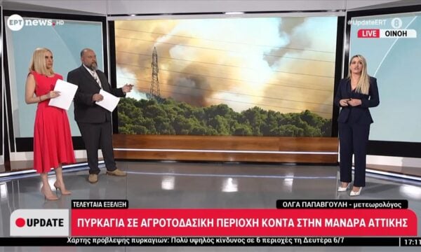 Οινόη – Όλγα Παπαβγουλή, μετεωρολόγος – Βόρειοι άνεμοι με εντάσεις μέχρι και τις βραδινές ώρες