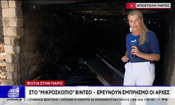 Ολονύχτια μάχη με τις φλόγες και τους ισχυρούς ανέμους έδωσαν οι πυροσβεστικές δυνάμεις στην Πάρο