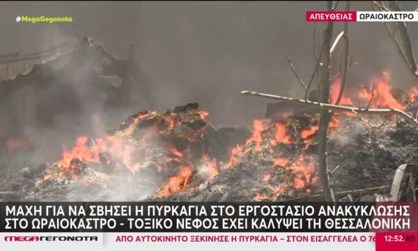 Ολονύκτια «μάχη» με τον πύρινο εφιάλτη και τους ανέμους στο Ωραιόκαστρο – Τεράστια κινητοποίηση της Πυροσβεστικής