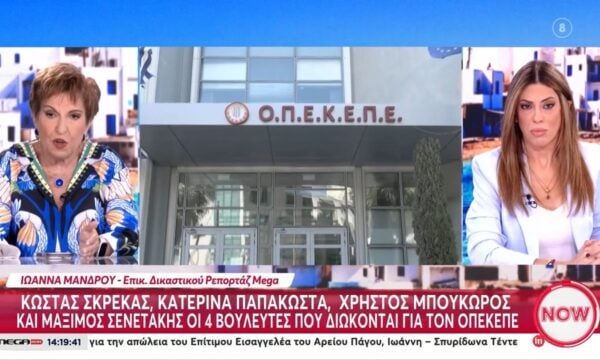 ΟΠΕΚΕΠΕ-Ι. Μάνδρου για δήλωση Μητσοτάκη: «Οι δηλώσεις τέτοιου είδους θα πρέπει να αποφεύγονται»