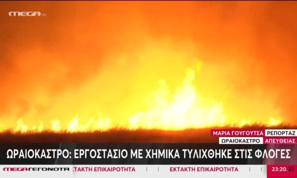 Ωραιόκαστρο: Εργοστάσιο με χημικά τυλίχθηκε στις φλόγες – Ισχυρές πυροσβεστικές δυνάμεις στο σημείο