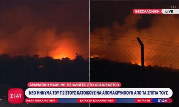Ωραιόκαστρο: Συνελήφθη 76χρονος για την πρόκληση της πυρκαγιάς