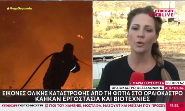 Ωραιόκαστρο: Τι ισχυρίστηκε ο 76χρονος που συνελήφθη για την πυρκαγιά