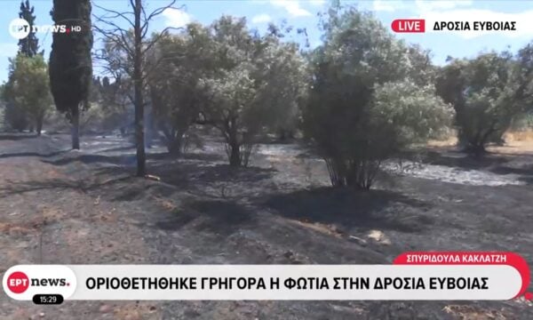 Οριοθετήθηκε γρήγορα η φωτιά στη Δροσιά Ευβοίας