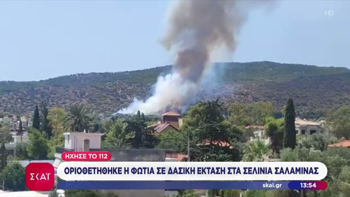 Οριοθετήθηκε η φωτιά στα Σελίνια Σαλαμίνας – Στη «μάχη» και 3 εναέρια μέσα