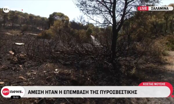 Οριοθετήθηκε η φωτιά στα Σελήνια Σαλαμίνας