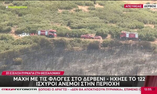 Οριοθετήθηκε η φωτιά στο Δερβένι Θεσσαλονίκης