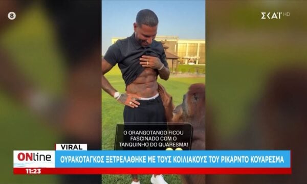 Ουρακοντάγκος ξετρελάθηκε με τους κοιλιακούς του Κουαρέσμα