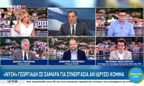 Π. Παπαγεωργίου: «Ο Γεωργιάδης ενδιαφέρεται για τη διανομή της εξουσίας»