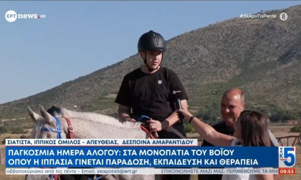 Παγκόσμια μέρα αλόγου: Στα μονοπάτια του Βοΐου