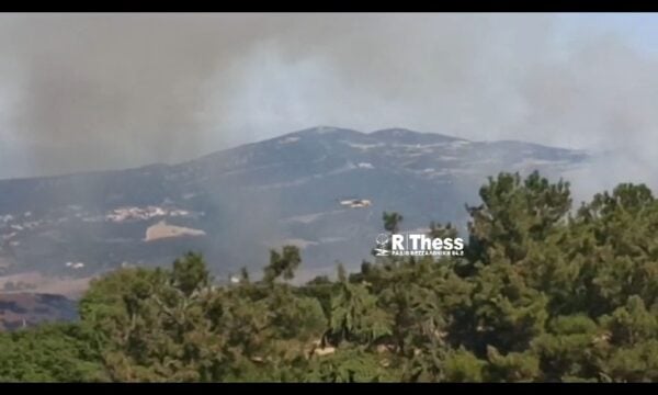 Πάλι φωτιά στην Ευκαρπία στη Θεσσαλονίκη – Σηκώθηκαν εναέρια