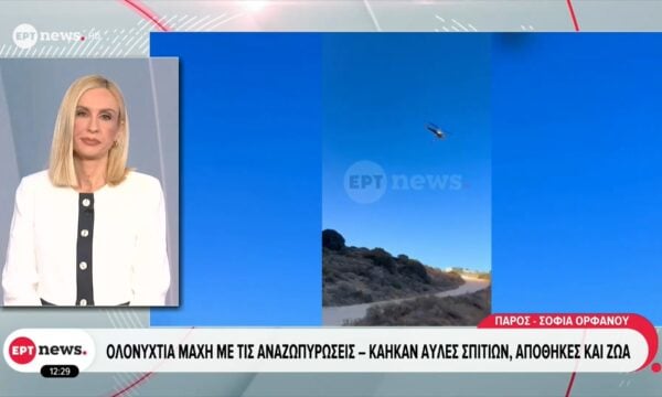 Πάρος: Ολονύχτια μάχη με τις αναζωπυρώσεις – Κάηκαν αυλές σπιτιών, αποθήκες και ζώα