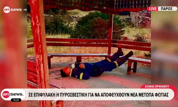 Πάρος: Σε επιφυλακή η Πυροσβεστική για να αποφευχθούν νέα μέτωπα φωτιάς