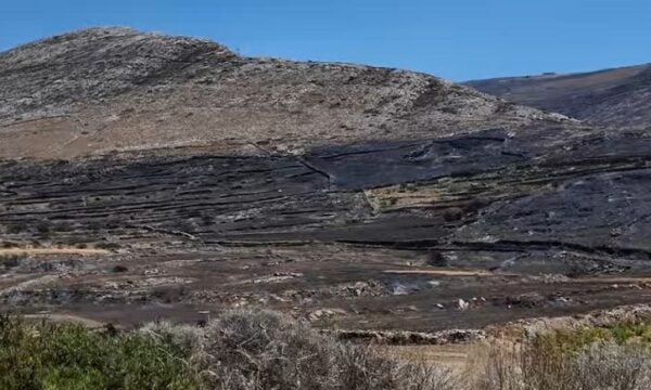 Πάρος: Στάχτες και αποκαϊδια – Πλάνα από το καταστροφικό έργο της πυρκαγιάς στις νότιες περιοχές του νησιού