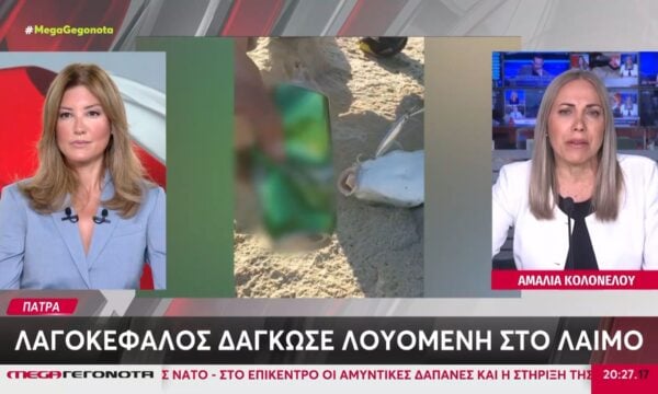 Πάτρα: Λαγοκέφαλος δάγκωσε λουόμενη στο λαιμό