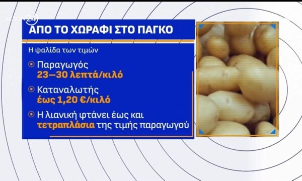 Πεπόνια: Με 10 λεπτά φεύγουν από το χωράφι, στα 1,5 ευρώ τα αγοράζουμε από την λαϊκή