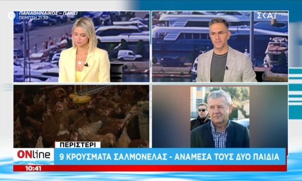 Περιστέρι | 9 κρούσματα σαλμονέλας – Ανάμεσά τους δύο παιδιά