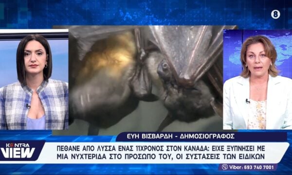 Πέθανε από λύσσα ένας 11χρονος στον Καναδά: Είχε ξυπνήσει με μια νυχτερίδα στο πρόσωπό του, οι συστάσεις των ειδικών