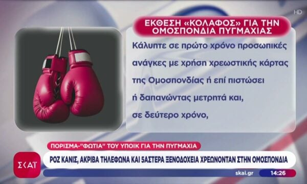 Πόρισμα «φωτιά» του Υπ. Οικονομικών για την Ομοσπονδία Πυγμαχίας – Ροζ κανίς, ακριβά τηλέφωνα και 5άστερα ξενοδοχεία