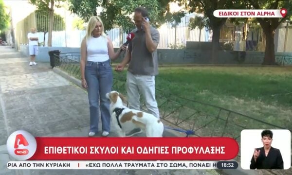 Πώς μπορούμε να προστατευτούμε από επιθετικούς σκύλους