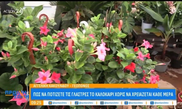 Πως να ποτίζετε τα λουλούδια το καλοκαίρι ώστε να μην χρειάζεται κάθε μέρα