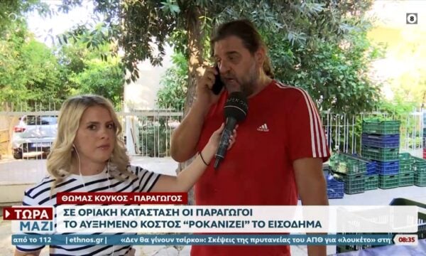 Που κυμαίνοτναι οι τιμές σε φρούτα και λαχανικά στην «καρδιά» του καλοκαιριού
