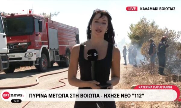 Πύρινα μέτωπα στην Βοιωτία – Ήχησε νέο 112
