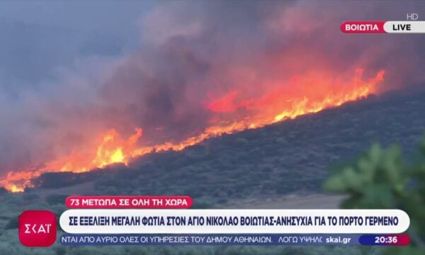 Πύρινη κόλαση στη Βοιωτία