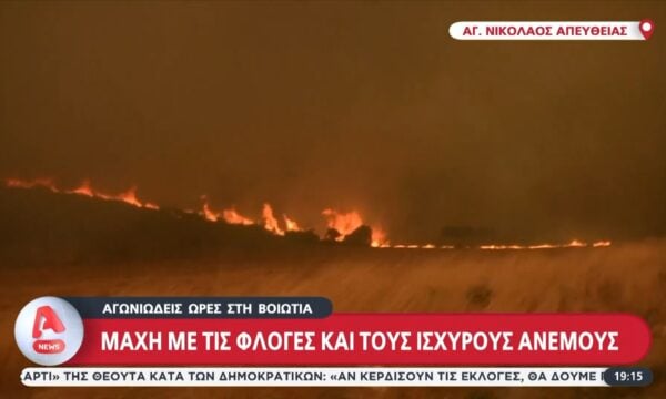 Πύρινο μέτωπο χιλιομέτρων στη Βοιωτία: Ανεξέλεγκτη η φωτιά – Απόκοσμες εικόνες