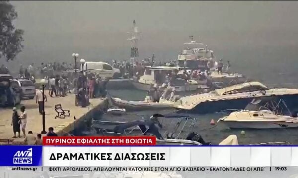 Πύρινος εφιάλτης στη Βοιωτία: Εκατοντάδες άνθρωποι απομακρύνθηκαν δια θαλάσσης