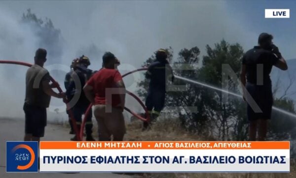 Πύρινος εφιάλτης στον Άγιο Βασίλειο Βοιωτίας