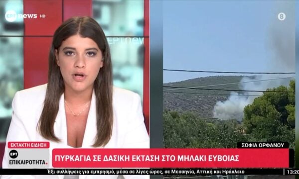 Πυρκαγιά σε δασική έκταση στο Μηλάκι Ευβοίας