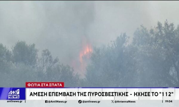 Πυρκαγιά σε Σπάτα και Κέρκυρα