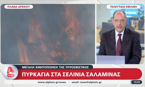 Πυρκαγιά στα Σελίνια Σαλαμίνας