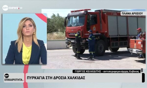 Πυρκαγιά στη Δροσιά Χαλκίδας – Αντιπεριφερειάρχης Εύβοιας Γιώργος Κελαϊδίτης