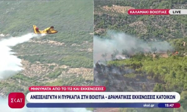 Πυρκαγιά στη Βοιωτία: Μήνυμα από το 112 στους κατοίκους στο Πόρτο Γερμενό να απομακρυνθούν προς Μάνδρα