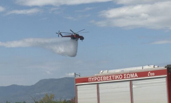 Πυρκαγιά στην Δροσιά Εύβοιας απείλησε εξοχικές και μόνιμες κατοικίες