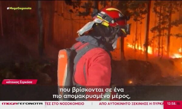 Πυρκαγιές πλήττουν Πορτογαλία, Ισπανία και Γαλλία εν μέσω ισχυρού καύσωνα
