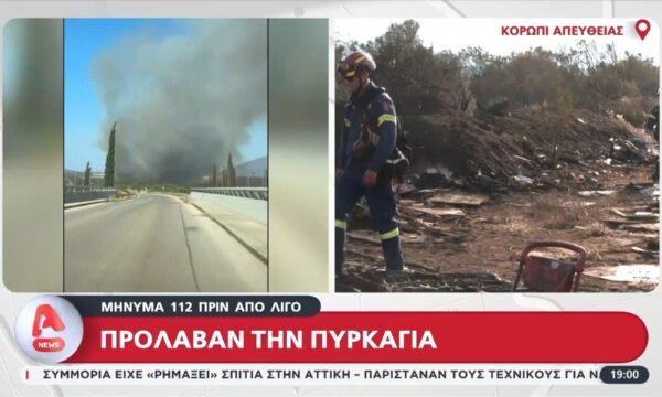 Πυρκαγιές: Βελτιωμένη η εικόνα στο Κορωπί, οριοθετήθηκε η φωτιά στη Σαλαμίνα