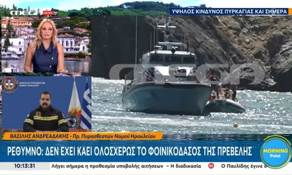 Ρέθυμνο: Δεν έχει καεί ολοσχερώς το φοινικοδάσος της Πρέβεζας