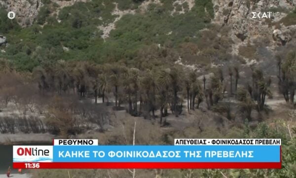 Ρέθυμνο: Κάηκε το Φοινικόδασος της Πρέβελης